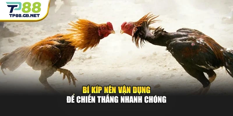 Bí kíp nên vận dụng để chiến thắng nhanh chóng