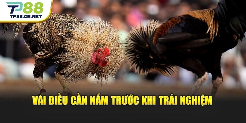 Vài điều cần nắm trước khi trải nghiệm